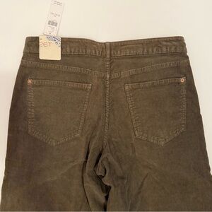 NWT Anthropology Pilcro Corduroy Pants Tall